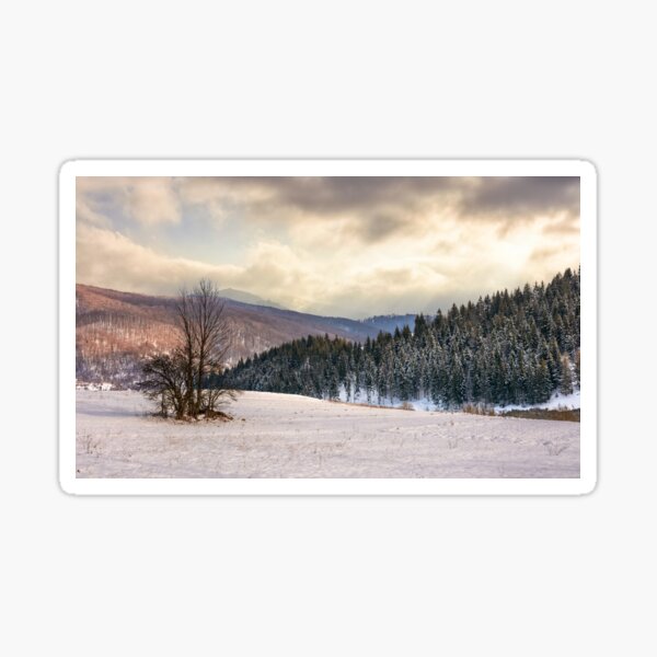 lonely tree on snowy meadow in winter mountains Sticker