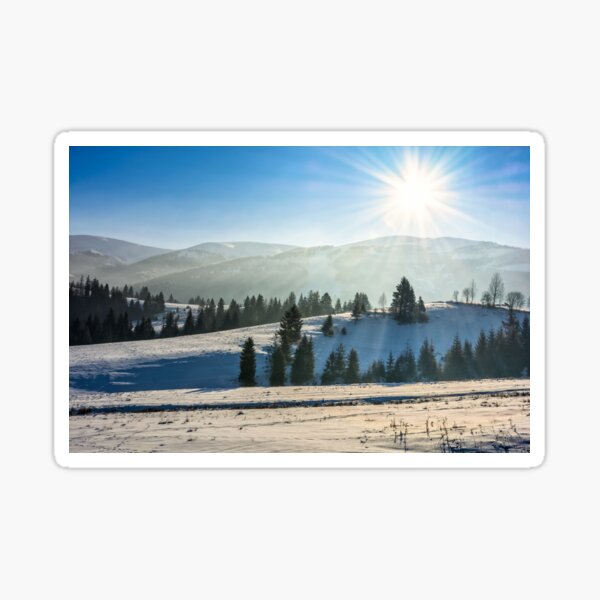 spruce forest on snowy meadow in high mountains Sticker
