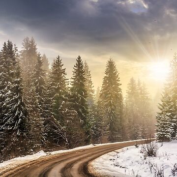 Artwork thumbnail, snowy road through spruce forest at sunset by mike-pellinni