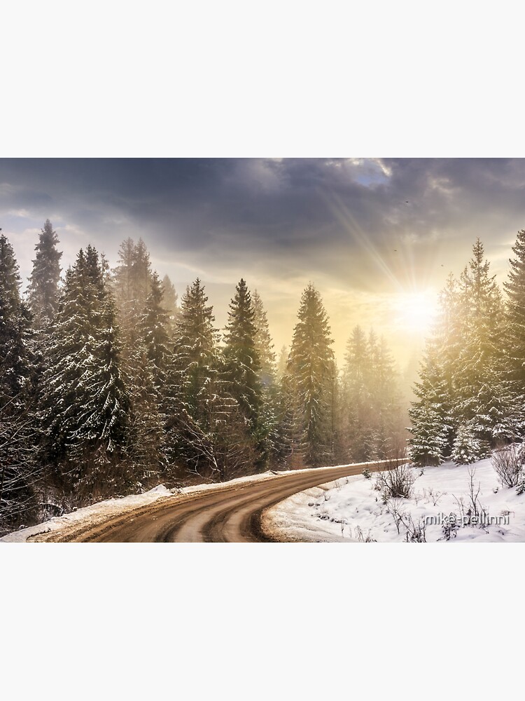 Thumbnail 3 of 3, Sticker, snowy road through spruce forest at sunset designed and sold by mike-pellinni.