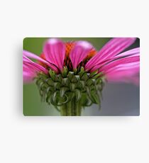 Propellor Canvas Print