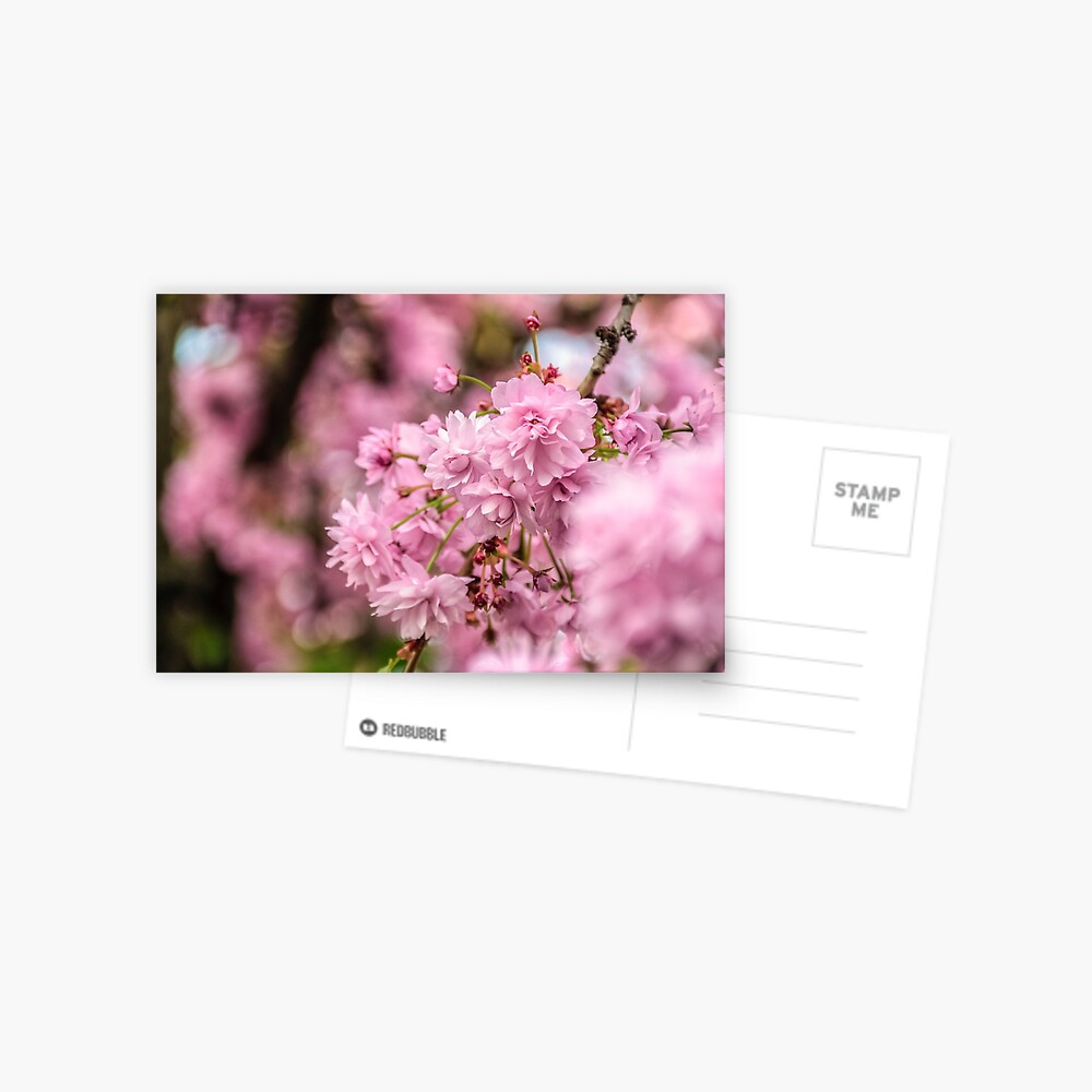 Item preview, Postcard designed and sold by mike-pellinni.