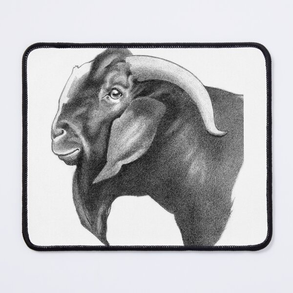 Item preview, Boer Buck Headstudy designed and sold by Patricia Howitt.