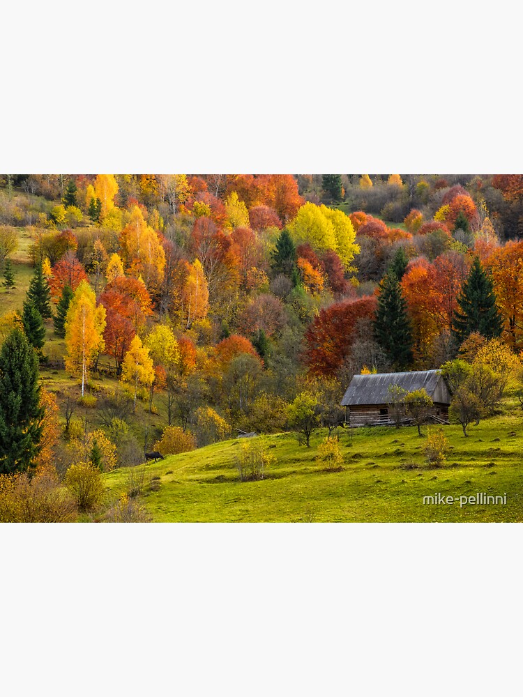 woodshed on the hillside in autumn mountains by mike-pellinni