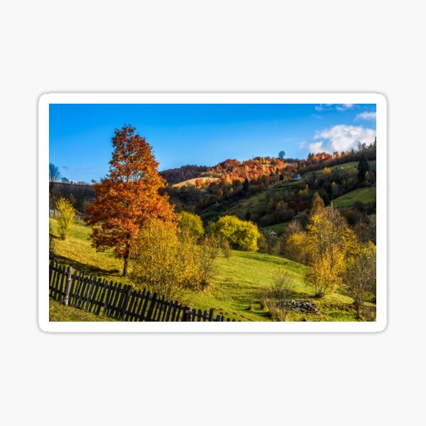 red tree behind the fence on hillside Sticker