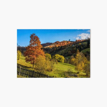 red tree behind the fence on hillside Art Board Print