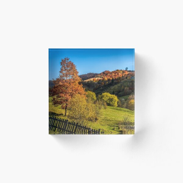 red tree behind the fence on hillside Acrylic Block