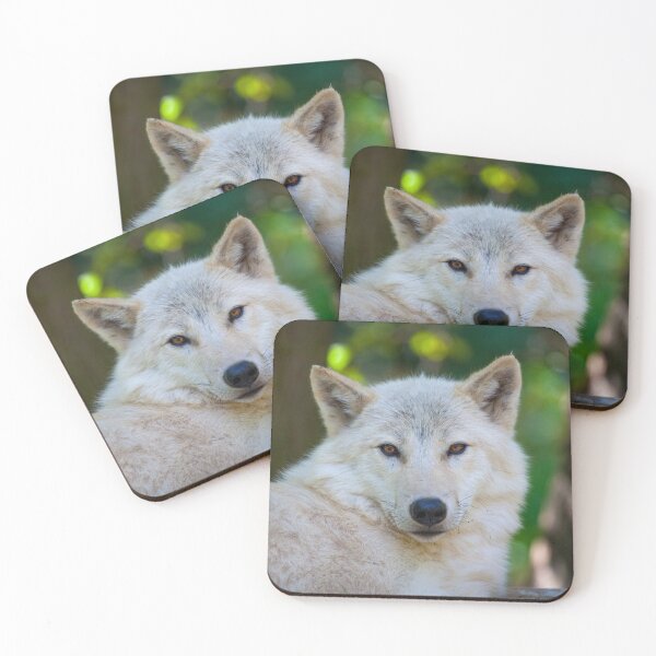 Item preview, Arctic Wolf Stare designed and sold by TVD-Photography.