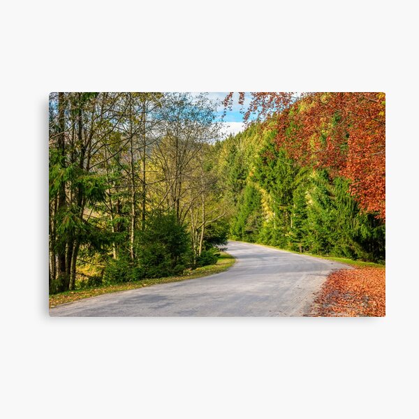 road through the forest in mountains Canvas Print