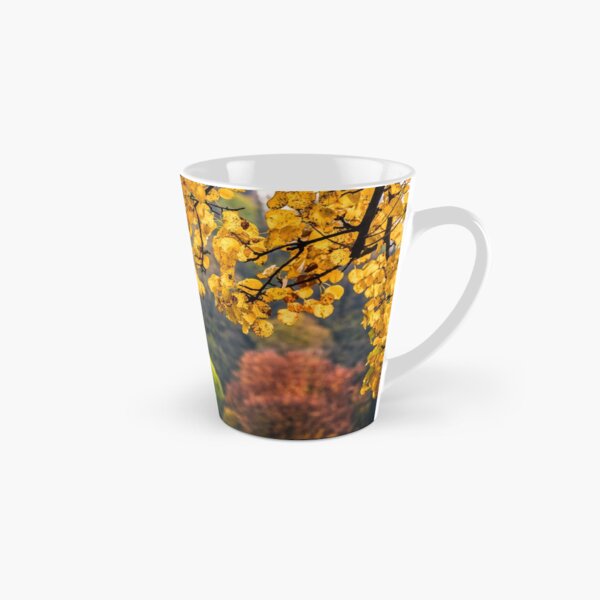 forest with colorful foliage on sunny autumn day Tall Mug