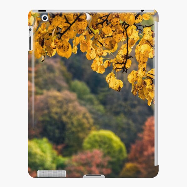 forest with colorful foliage on sunny autumn day iPad Snap Case