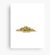 Natures finest Canvas Print