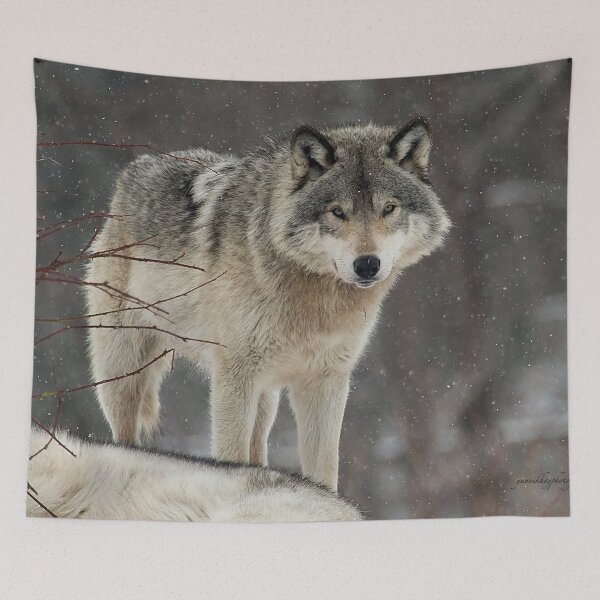 Item preview, Dominant Wolf designed and sold by Yannik Hay.