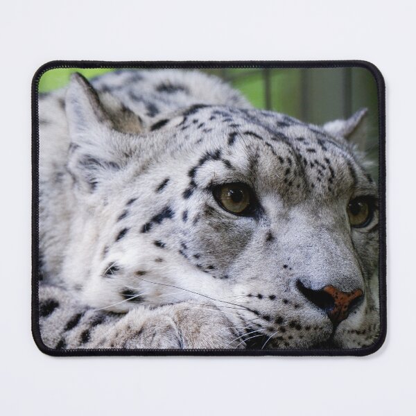 Item preview, Snow Leopard designed and sold by photobytableau.
