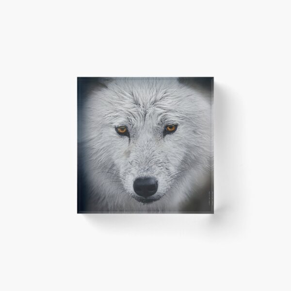 Item preview, Woodland Soul designed and sold by Yannik Hay.