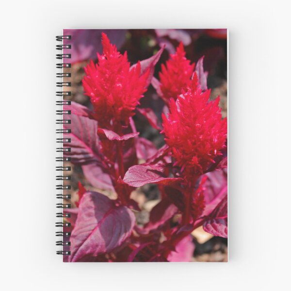 Item preview, Feather Celosia designed and sold by Michiale.