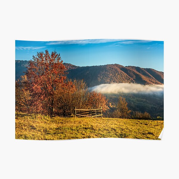 foggy and hot sunrise in Carpathian mountains Poster