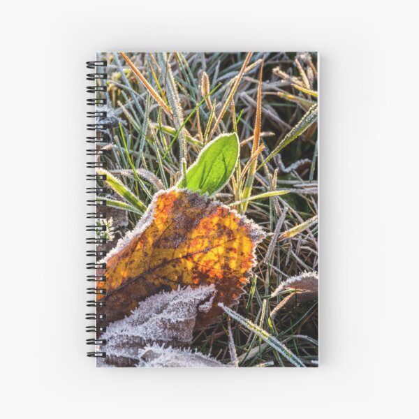 yellow and green foliage in the grass Spiral Notebook