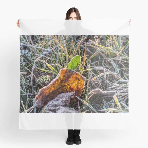 yellow and green foliage in the grass Scarf