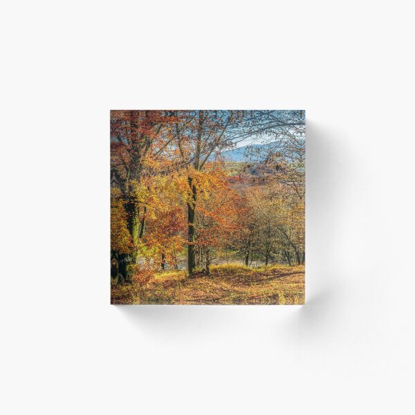 forest in red foliage on sunny autumn day Acrylic Block