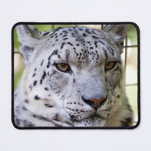 Item preview, Snow Leopard designed and sold by photobytableau.