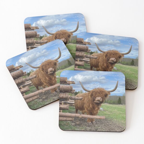 Item preview, Scottish Highland Cattle Cow 3339 designed and sold by SaarelaHighland.