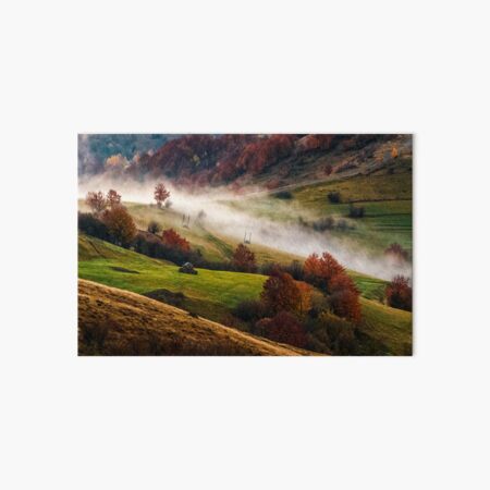 foggy sunrise in Carpathian mountains Art Board Print