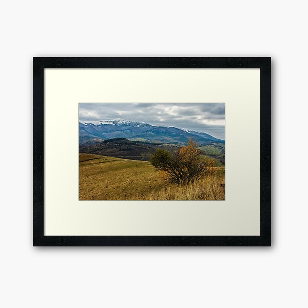 snowy peaks over the meadow Framed Art Print
