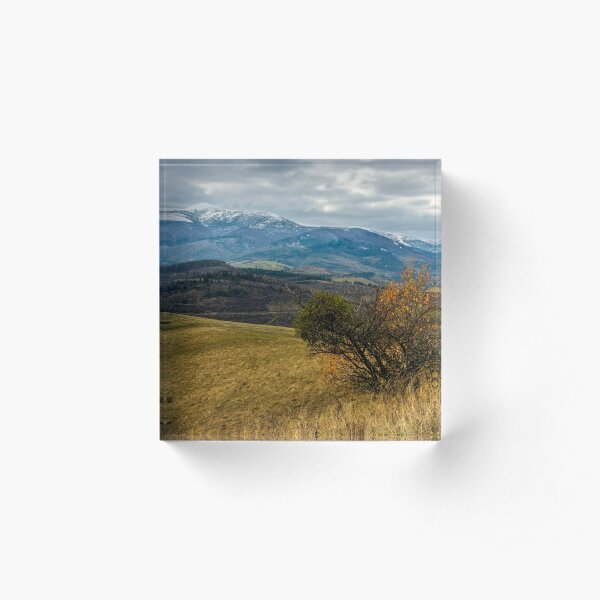 snowy peaks over the meadow Acrylic Block