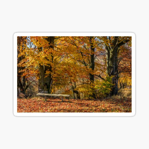 forest in red foliage on sunny autumn day Sticker