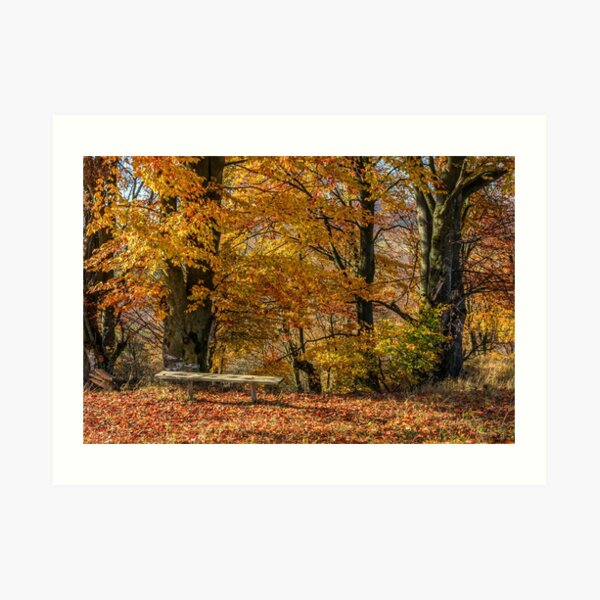 forest in red foliage on sunny autumn day Art Print