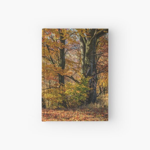 forest in red foliage on sunny autumn day Hardcover Journal