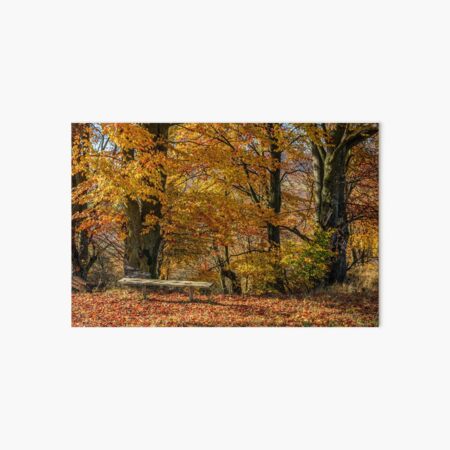 forest in red foliage on sunny autumn day Art Board Print