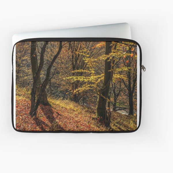autumn forest in foliage Laptop Sleeve