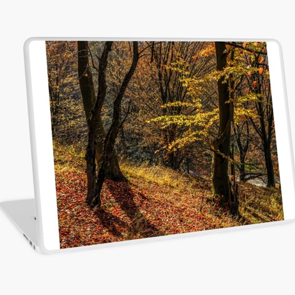 autumn forest in foliage Laptop Skin