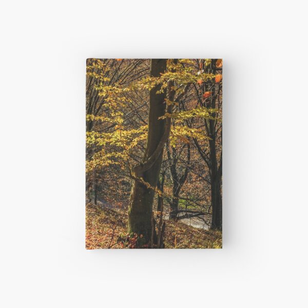 autumn forest in foliage Hardcover Journal