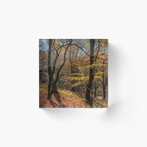 autumn forest in foliage Acrylic Block