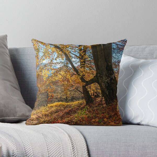 autumn forest in foliage Throw Pillow