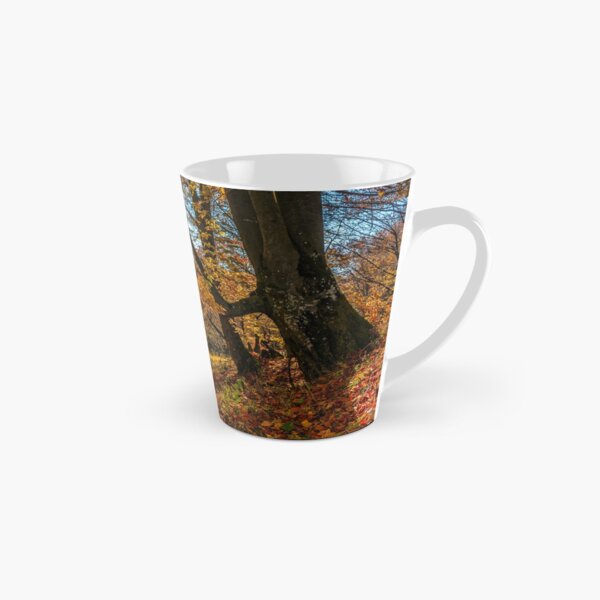 autumn forest in foliage Tall Mug