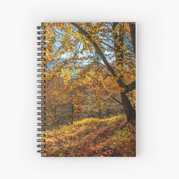 autumn forest in foliage Spiral Notebook