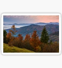 forest over foggy valley in autumn mountains Sticker