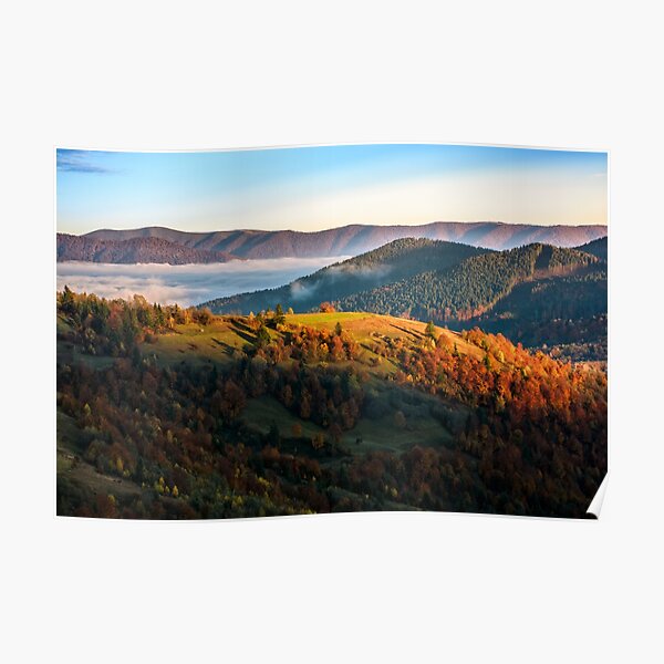 foggy and hot sunrise in Carpathian mountains Poster