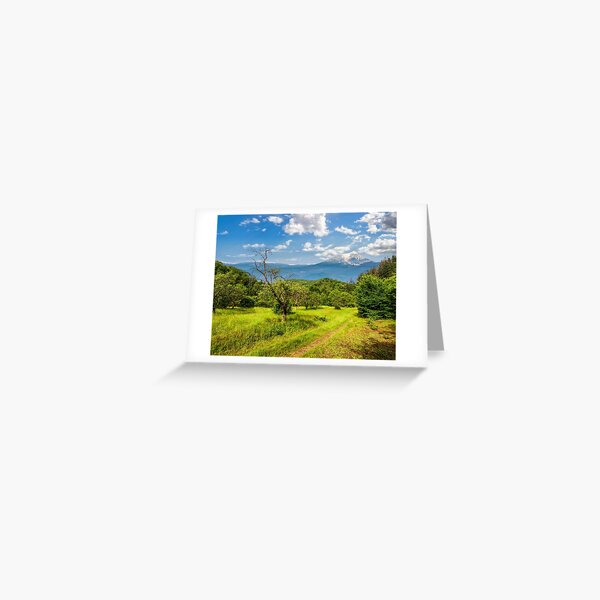Winter in mountains meets spring in valley Greeting Card