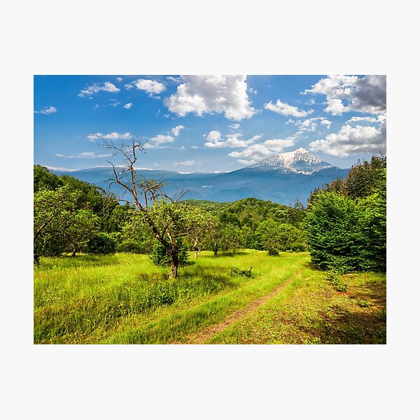 Winter in mountains meets spring in valley Photographic Print