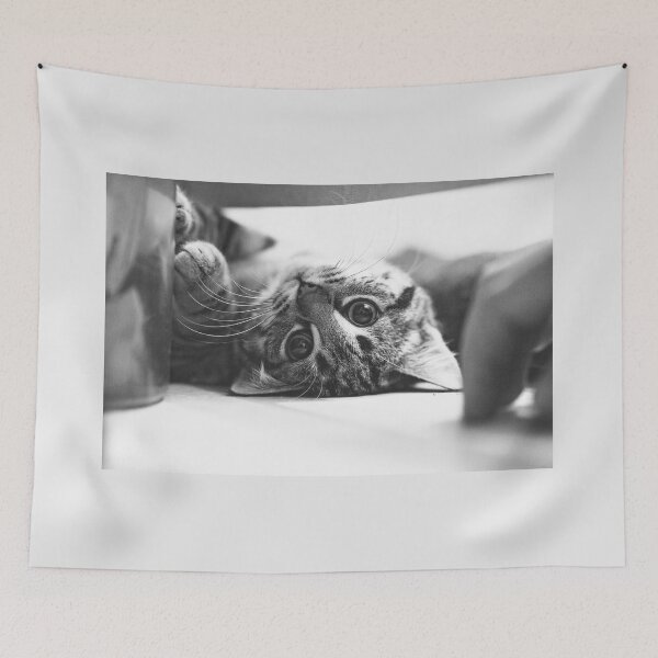 Item preview, cute kitten designed and sold by Nebulae-Art.