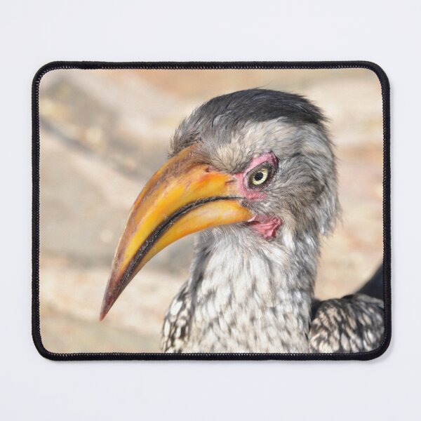 Item preview, Southern Yellow-Billed Hornbill designed and sold by RPMouton.