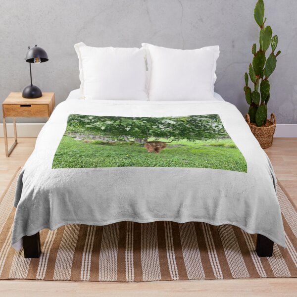 Item preview, Scottish Highland Cattle Cow under a tree 3359 designed and sold by SaarelaHighland.