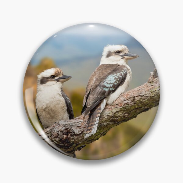 Item preview, Beautiful Kookaburra Pair in the Blue Mountains, Australia. One of the most amazing birds in the world, the Kookaburra is full of personality and truly beautiful. designed and sold by Orianah.
