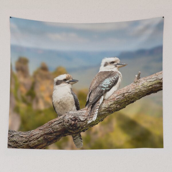 Item preview, Beautiful Kookaburra Pair in the Blue Mountains, Australia. One of the most amazing birds in the world, the Kookaburra is full of personality and truly beautiful. designed and sold by Orianah.