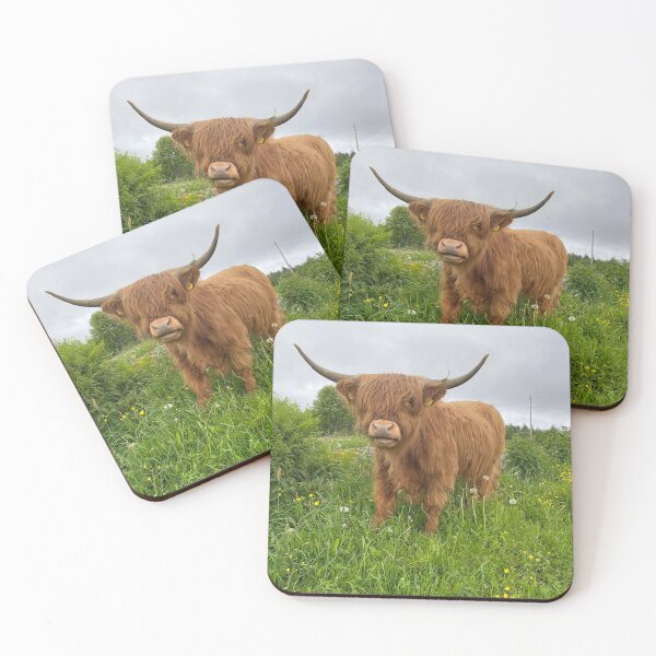 Artikelvorschau, Scottish Highland Cattle Cow 3368 entworfen und verkauft von SaarelaHighland.